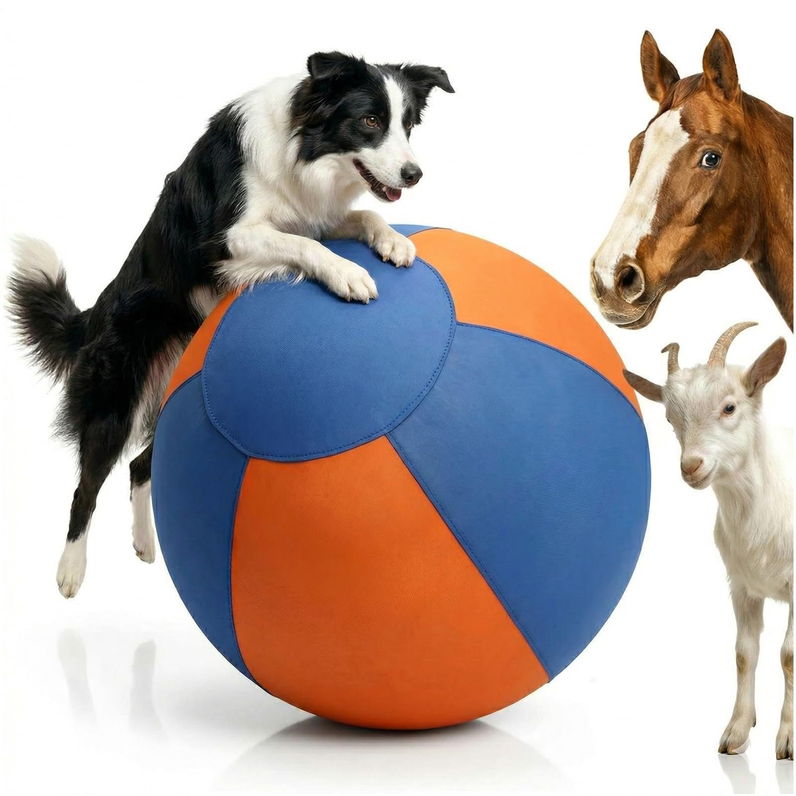 Pelota para perros de pastoreo Juguetes Interactivos De Entrenamiento | Pelota Práctica Pastoreo Para Exterior Jardín Patio Trasero Césped Patio Interior