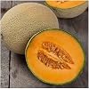 PREMIER SEEDS DIRECT - Melon Cantaloupe - Hales Best Jumbo - 80 Seeds