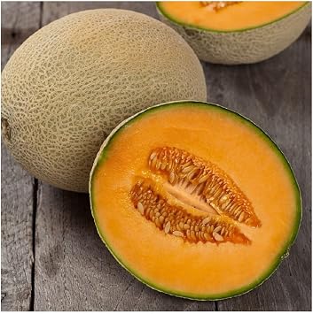 PREMIER SEEDS DIRECT - Melon Cantaloupe - Hales Best Jumbo - 80 Seeds