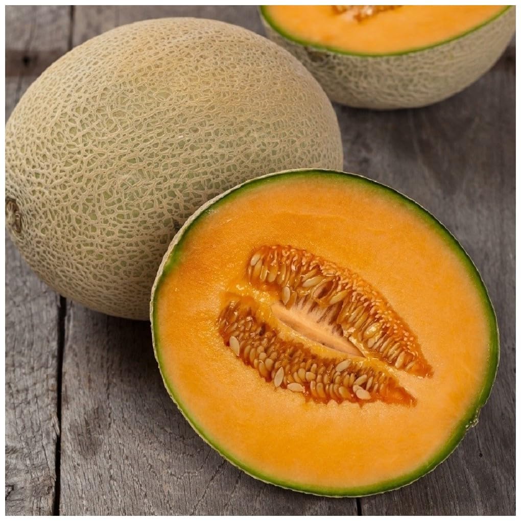 PREMIER SEEDS DIRECT - Melon Cantaloupe - Hales Best Jumbo - 80 Seeds
