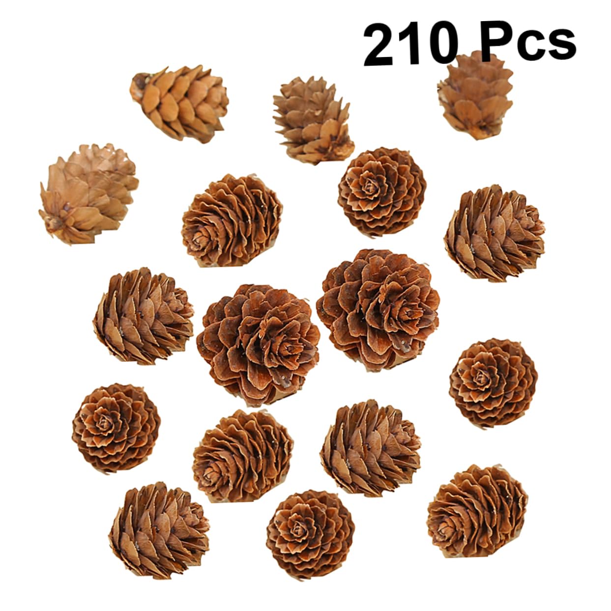 Ciieeo 210 Piezas Decoraciones de Piñas Piñas Naturales Secas Hogar Acción de Gracias y Navidad