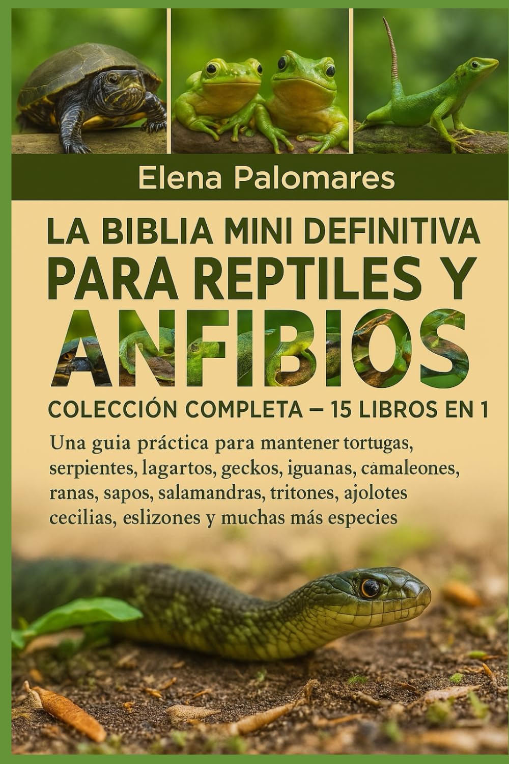 LA BIBLIA MINI DEFINITIVA PARA REPTILES Y ANFIBIOS: COLECCIÓN COMPLETA — 15 LIBROS EN 1: Una guía práctica para mantener tortugas, tortugas, ... sapos, salamandras, tritones, ajolotes...
