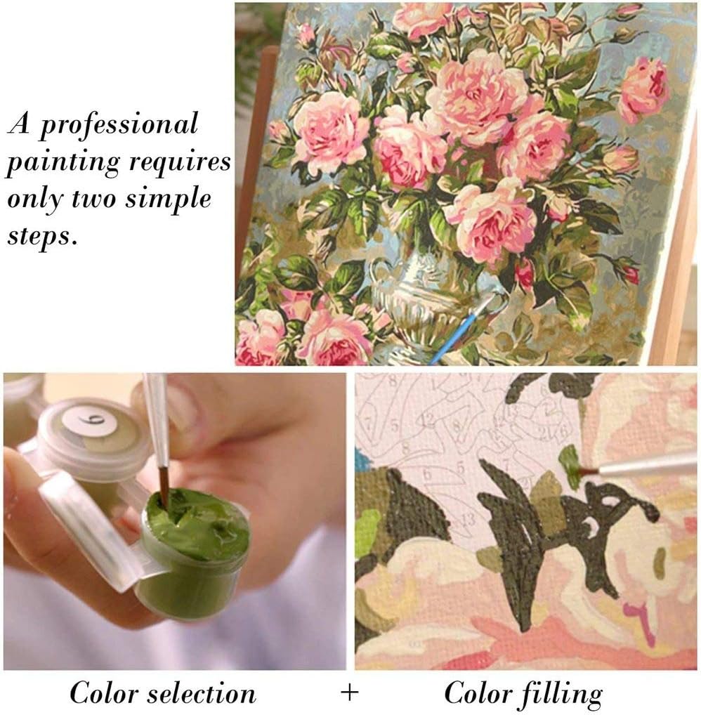 Texture of Dreams DIY Paint by Numbers Canvas Acrylic Brushes Kit for Adults Beginners (Pink Carnation 16"x20")