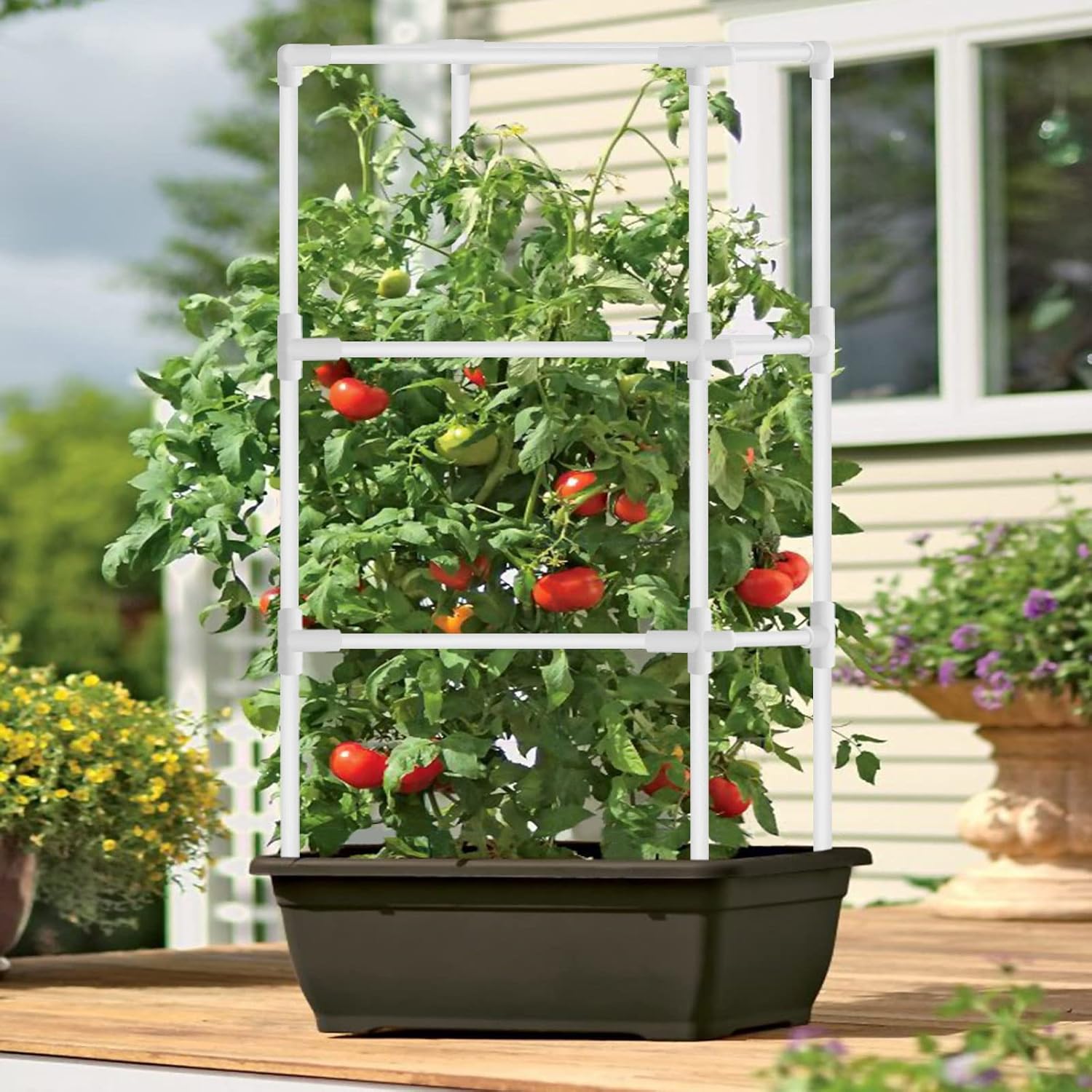 UNISOPH Garden Plant Support Cages, 40cm Plant Support Stakes Ring Cage Plant Stake, Multi