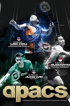 アパックス アサイラントプロ ASSAILANT PRO 4UG5 Amazon | [apacs] アパックス バドミントンラケット