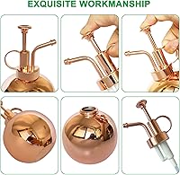 Vista 3 de Pulverizador de plantas de acero inoxidable, botella de nebulización de plantas, herramientas modernas de jardinería para plantas en macetas