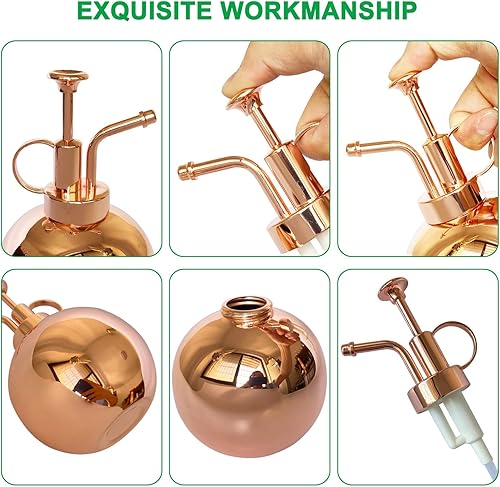 Miniatura 3 de Pulverizador de plantas de acero inoxidable, botella de nebulización de plantas, herramientas modernas de jardinería para plantas en macetas de