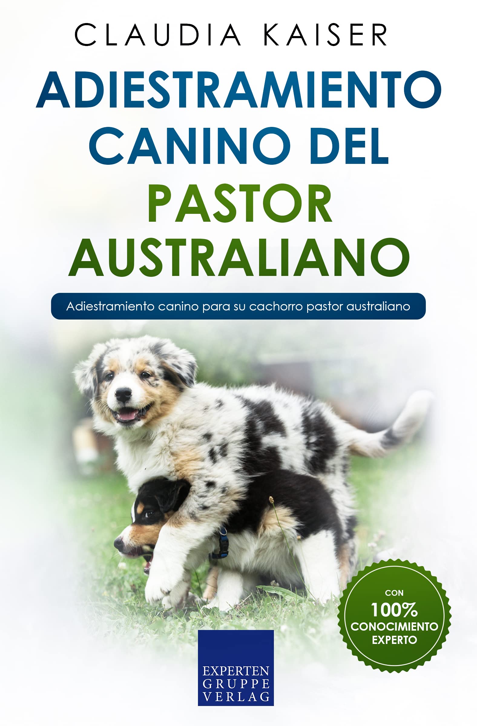 Adiestramiento canino del pastor australiano: Adiestramiento canino para su cachorro pastor australiano