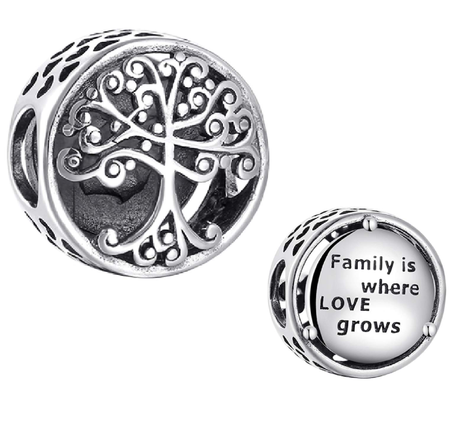 EVESCITY COLLECTIONBolenvi Family Tree Quote Bead Charm - Authentic 925 Sterling Silver Charms Compatible with Pandora & Similar Bracelets, Necklaces & DIY Jewelry