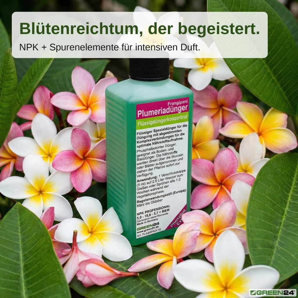 GREEN24 Frangipani-Dünger Hightech Płynny Fertilizer do Plumerie Frangipane