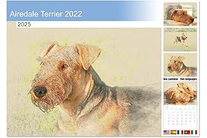 Airedale Terrier 14-Month Wall Calendar 2022-2023 Calendar