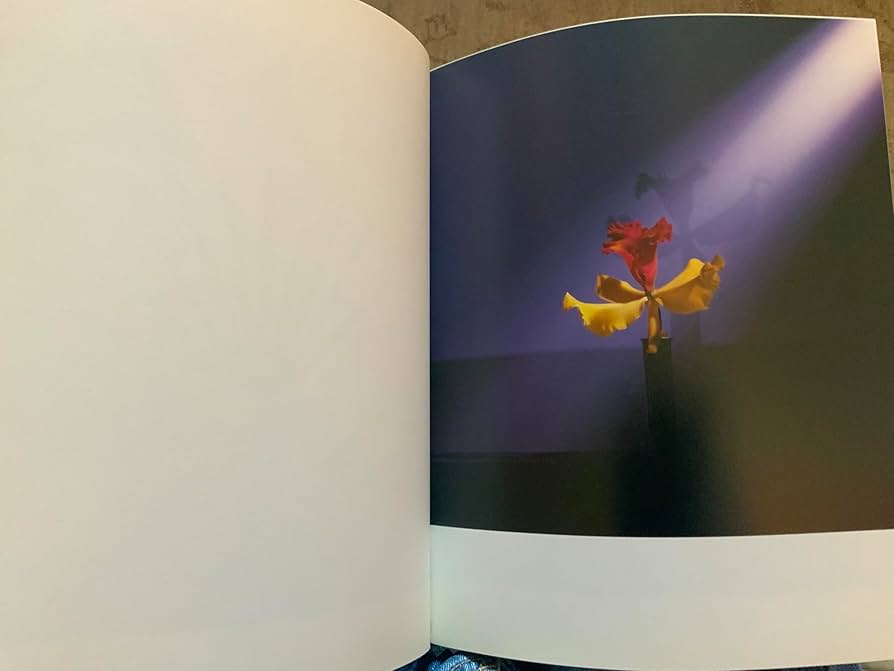 Robert Mapplethorpe: Flowers 洋書 ロバート d6eaef6ca5e1904fd3f1723263ff14