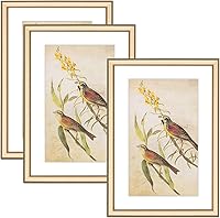 Vista 26 de Juego de 4 marcos de fotos de 4 x 4 pulgadas, color negro mate, diseño simple y moderno, de aluminio cepillado delgado, cuadrado, para fotos de 3 x