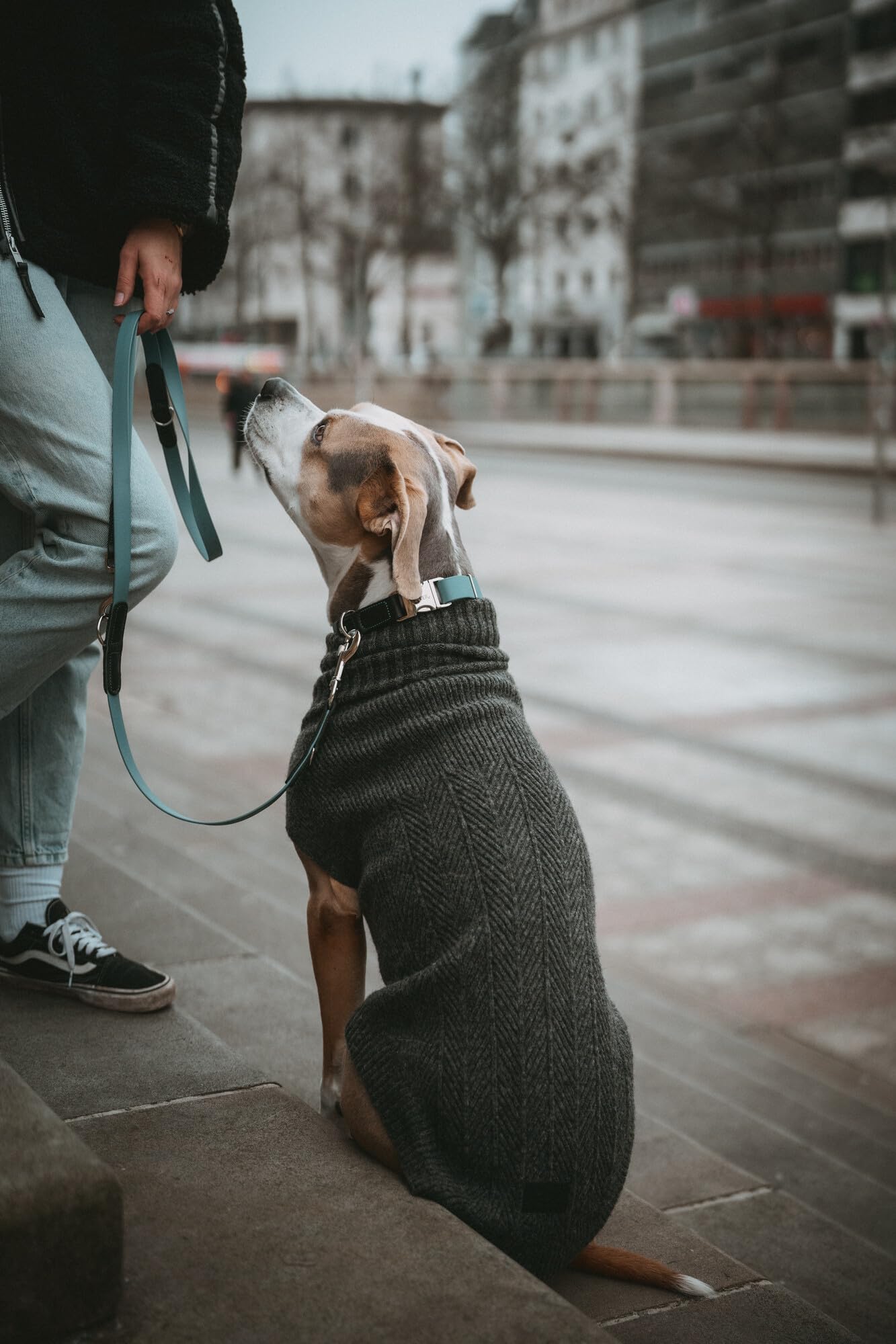 Hunter Hundepullover GENF, Farbe: anthrazit, Strickpullover für kalte Tage, weich, anschmiegsam, recyceltes Polyester, waschbar, umgschlagbarer Halskragen, hohe Elastizität, Größe: 30