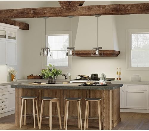 Vista 36 de Progress Lighting Briarwood Collection - Mini-colgante costero (grafito), color negro