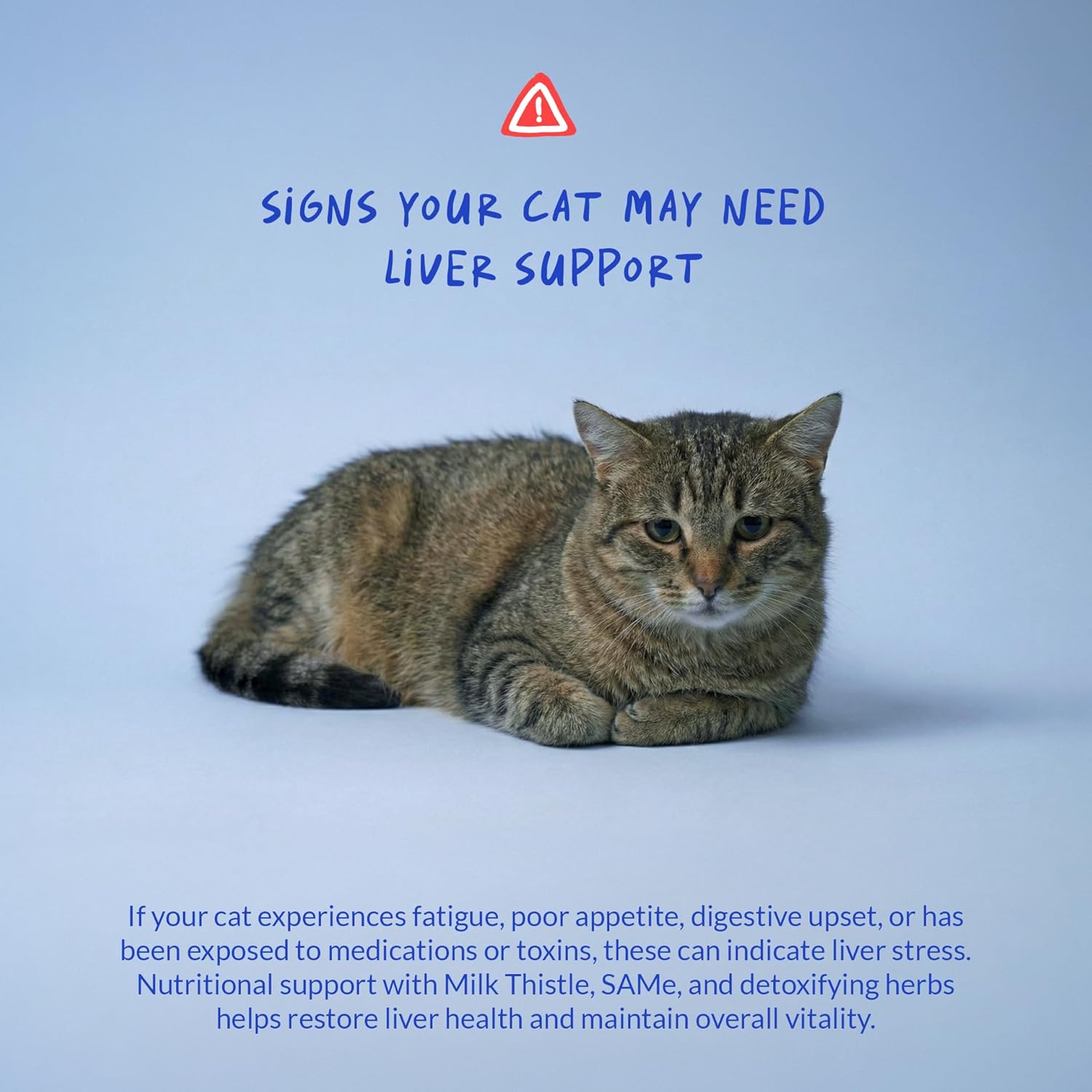 Milk Thistle for Cats - Liver and Kidney Support - Hepatic Support with EPA & DHA - Detox - Liver Supplement with Choline and L-Arginine (Powder for Cats)