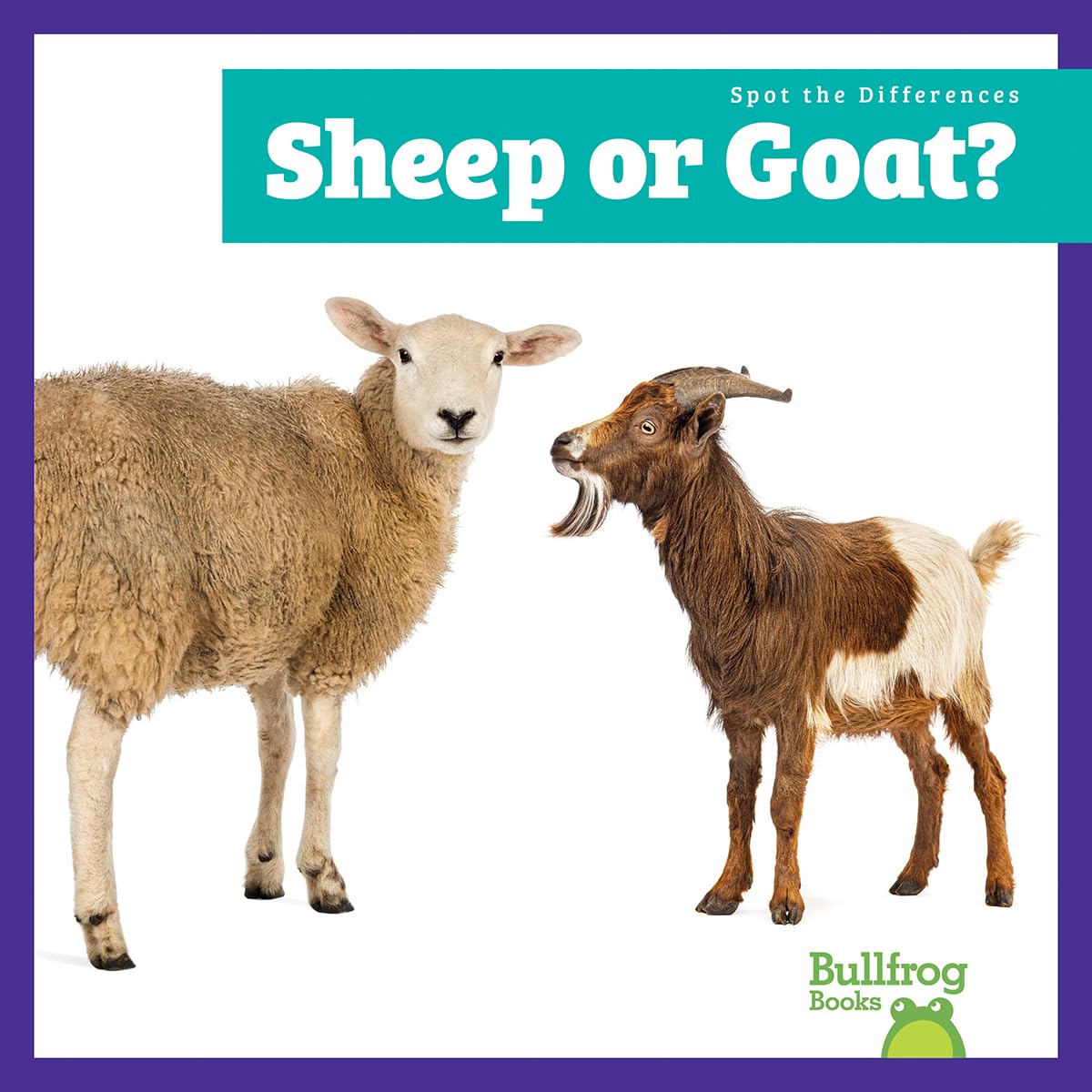 Sheep or Goat? (Spot the Differences)