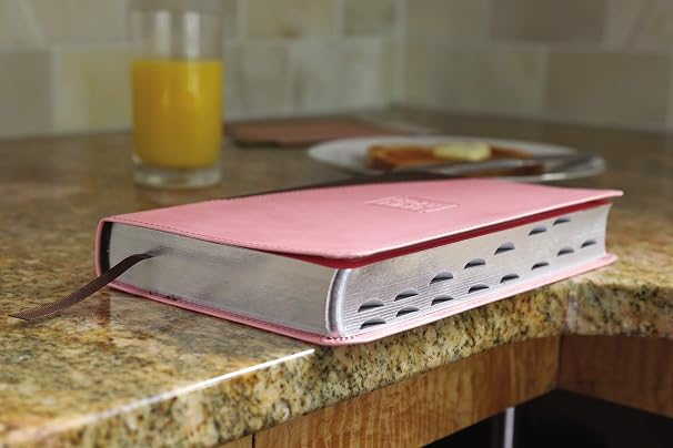 Holy Bible: New International Version, Premium, Gift Bible, Pink/Chocolate, Leathersoft,Red Letter Edition