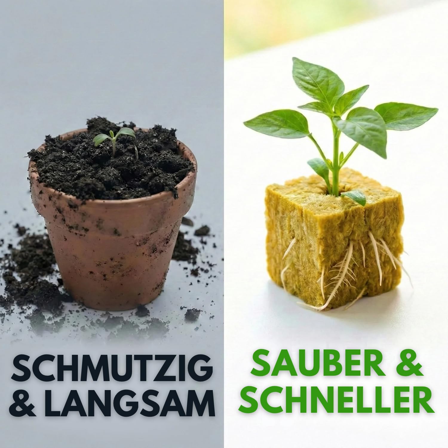 500er-Pack Hydroponik-Steinwollwürfel (2,5 cm) für Keimung und Stecklinge, Belüftetes Substrat für Schnelles Wachstum, Ideal für Aussaat, Innen- und Außenbereiche