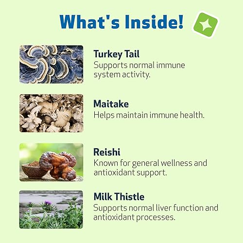 Miniatura 6 de Pet Wellbeing Mushroom Immune Gold para perros – Apoyo inmunológico complementario con Reishi, Maitake, cola de pavo – Suplemento funcional de