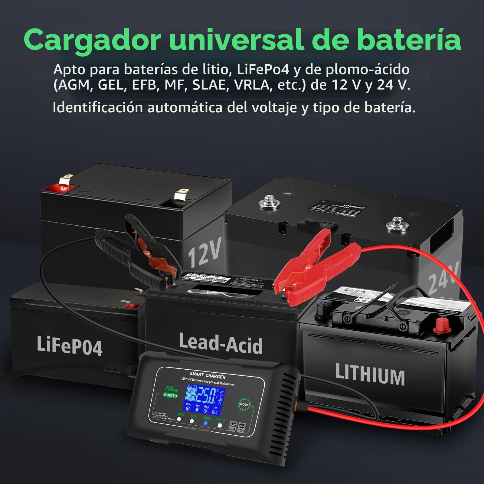 Haisito Cargador Baterias Coche 12V/24V 25A, Cargador de Batería Rapida Inteligente Coche y Moto, Desulfatador y Mantenedor para baterías de LiFePO4 Litio Plomo ácido (AGM, Gel, EFB, SLA, VRLA)