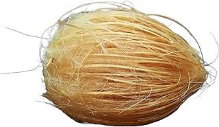 Betel Nut Palm (Areca Catechu) – Rare Tropical Palm Seeds and Young Seed...