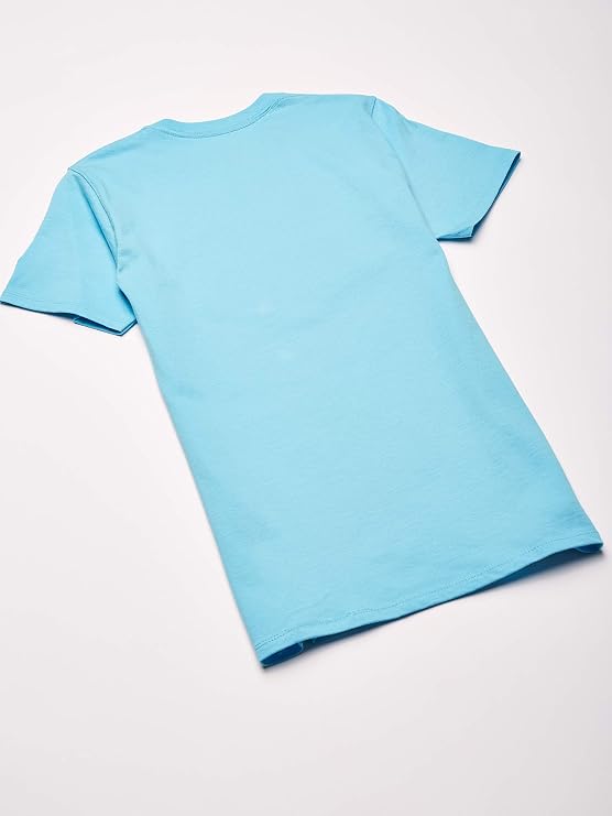 Champion Men's Classic T-Shirt, 3D Script
