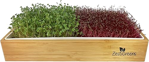 Miniatura 8 de Kit de cultivo de microgreens de autorriego incluye bandeja de microverdes, semillas de microverdes, tapetes y envoltura de bambú. No necesita