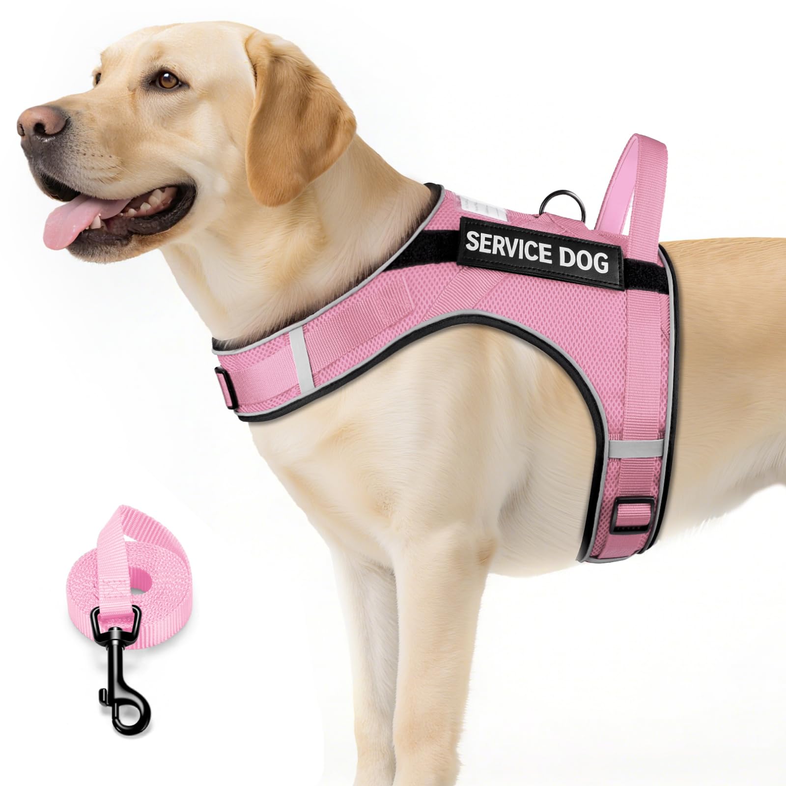 Gilet pour chien de soutien émotionnel respirant pour sorties et transports
