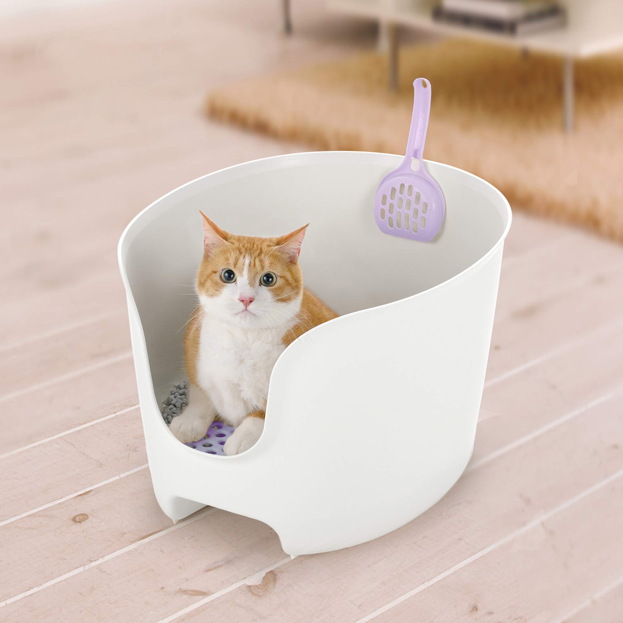 Richell 60019 Paw Trax High Wall Cat Litter Box White & Lavender