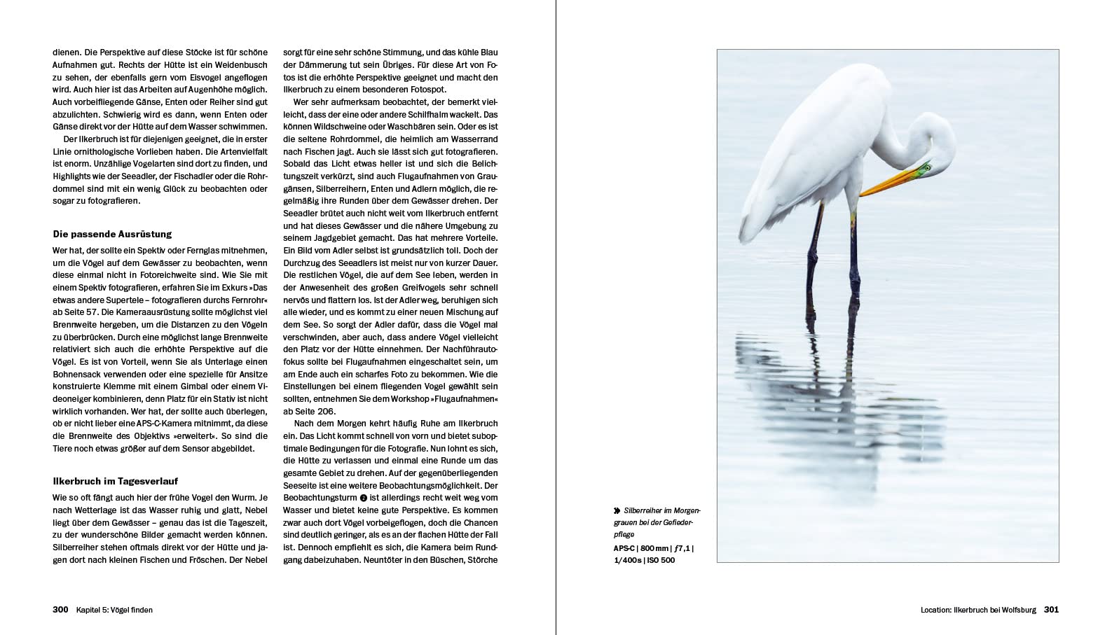 Vogelfotografie: Die große Fotoschule. Ihr praktischer Einstieg: Ausrüstung, Aufnahmetechnik, Bildgestaltung. Mit artenspezifischen Informationen