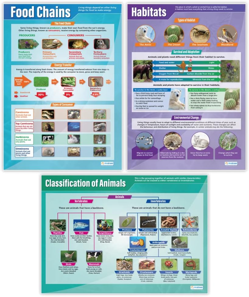 Habitats Science Classroom Posters - Set of 3 - EXTRA LARGE 33" x 23.5" - Gloss Paper - STEM Middle & High School Class Decoration - Wall Charts by Daydream Education.
