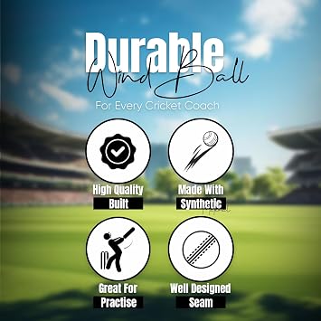 Wind Cricket Balls - Indoor & Outdoor Soft Training Cricket Balls for Skills Coaching Practice