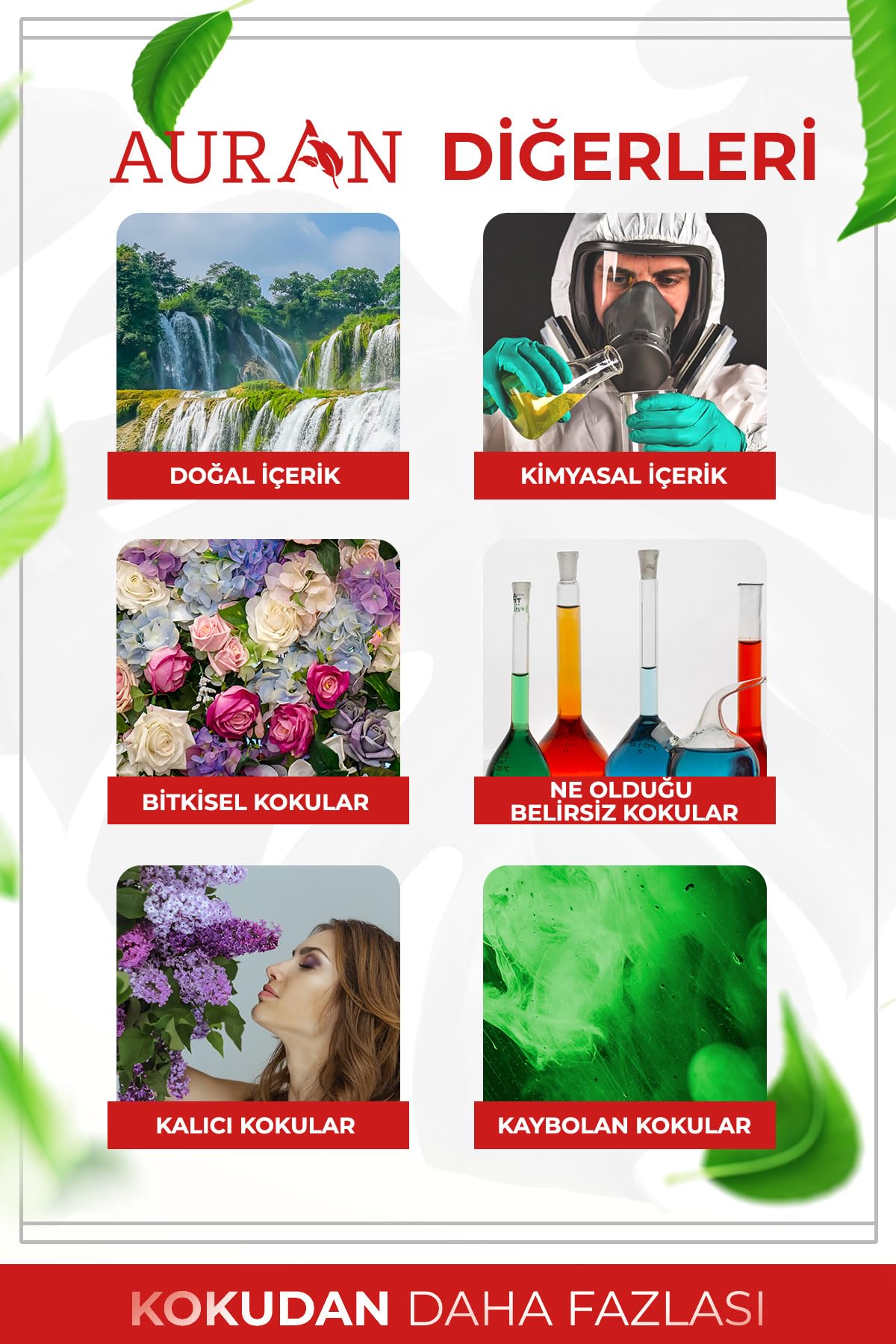 AURAN Misk & Gül Esansiyel Uçucu Koku Yağı Difüzor Esansı Buhurdanlık Yağı Aromaterapi Yağı 10ml