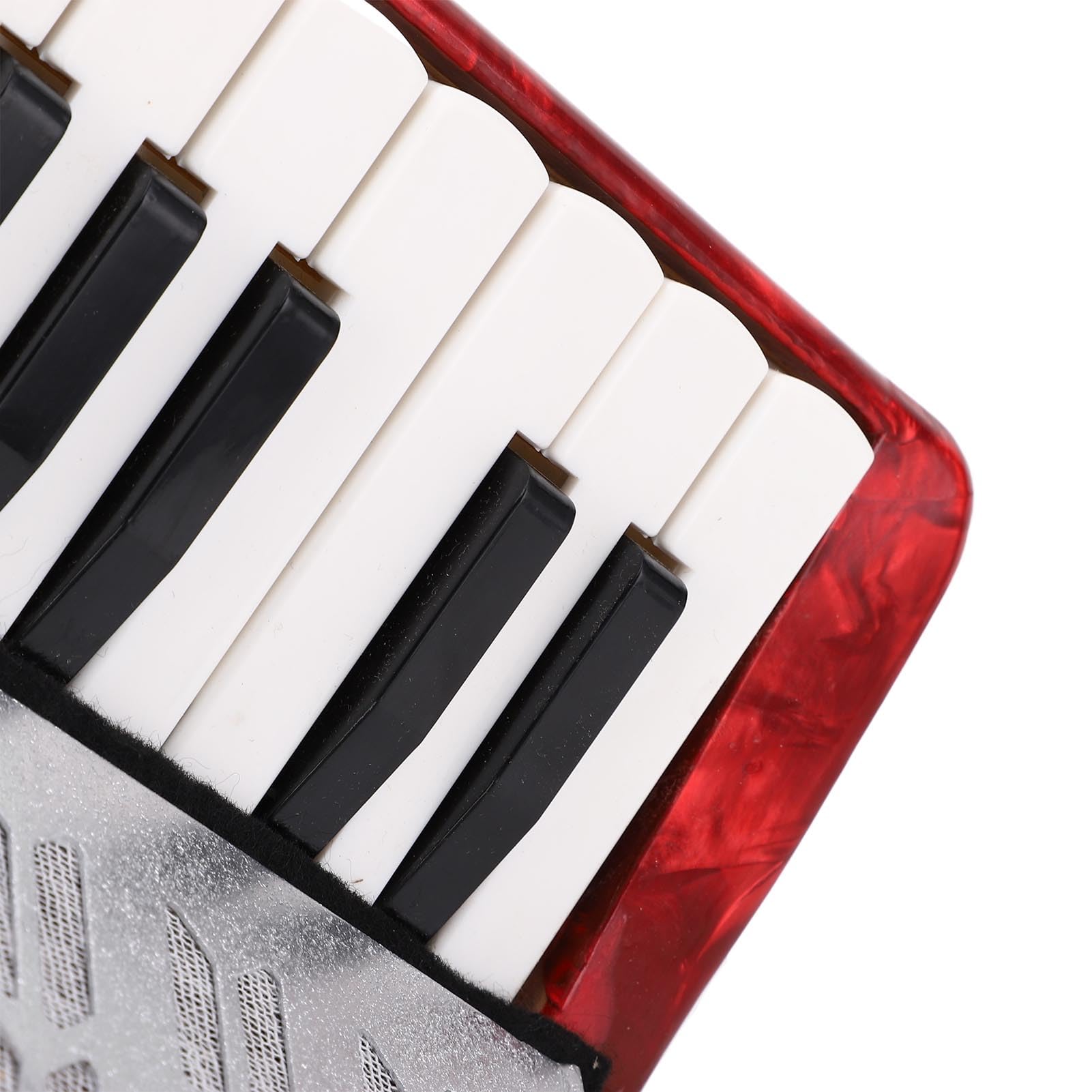 Alomejor Acordeón para Principiantes para Estudiantes - 17 Key 8 Bass Piano Accordion - Instrumento Musical Fácil y Permanente con Correas Ajustables Material ABS (Rojo)