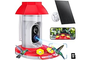 Hummingbird Feeder with Solar-Powered Camera