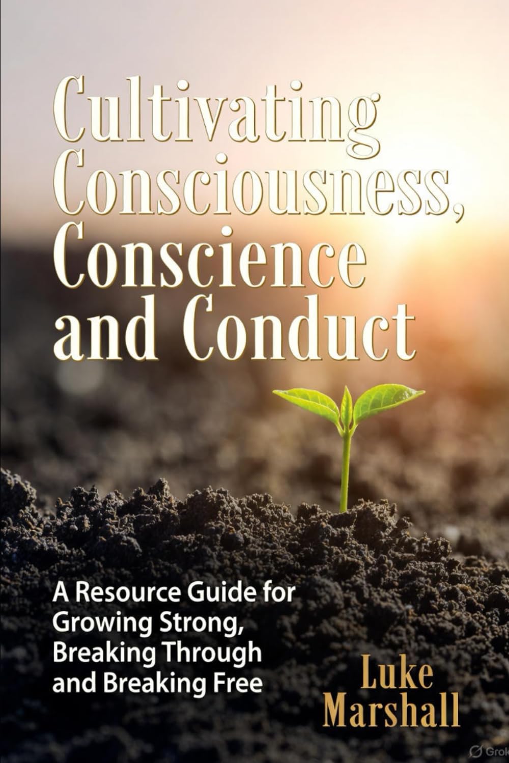 Cultivating Consciousness, Conscience and Conduct