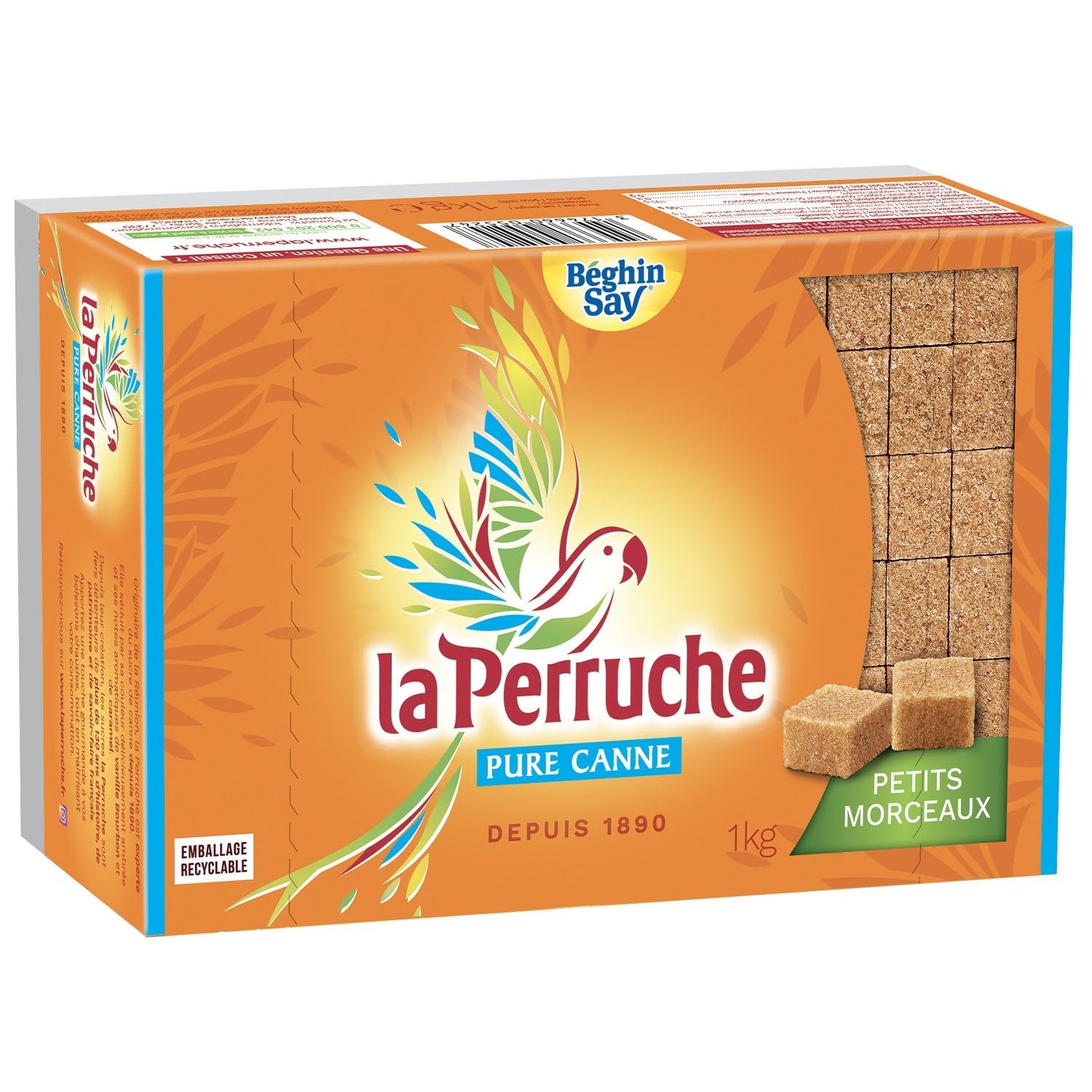 BEGHIN SAY – Sucre Pure Canne en Petits Morceaux, Saveur Authentique et Fondante, Boîte 1 kg (252 pièces) - Le Lot De 4