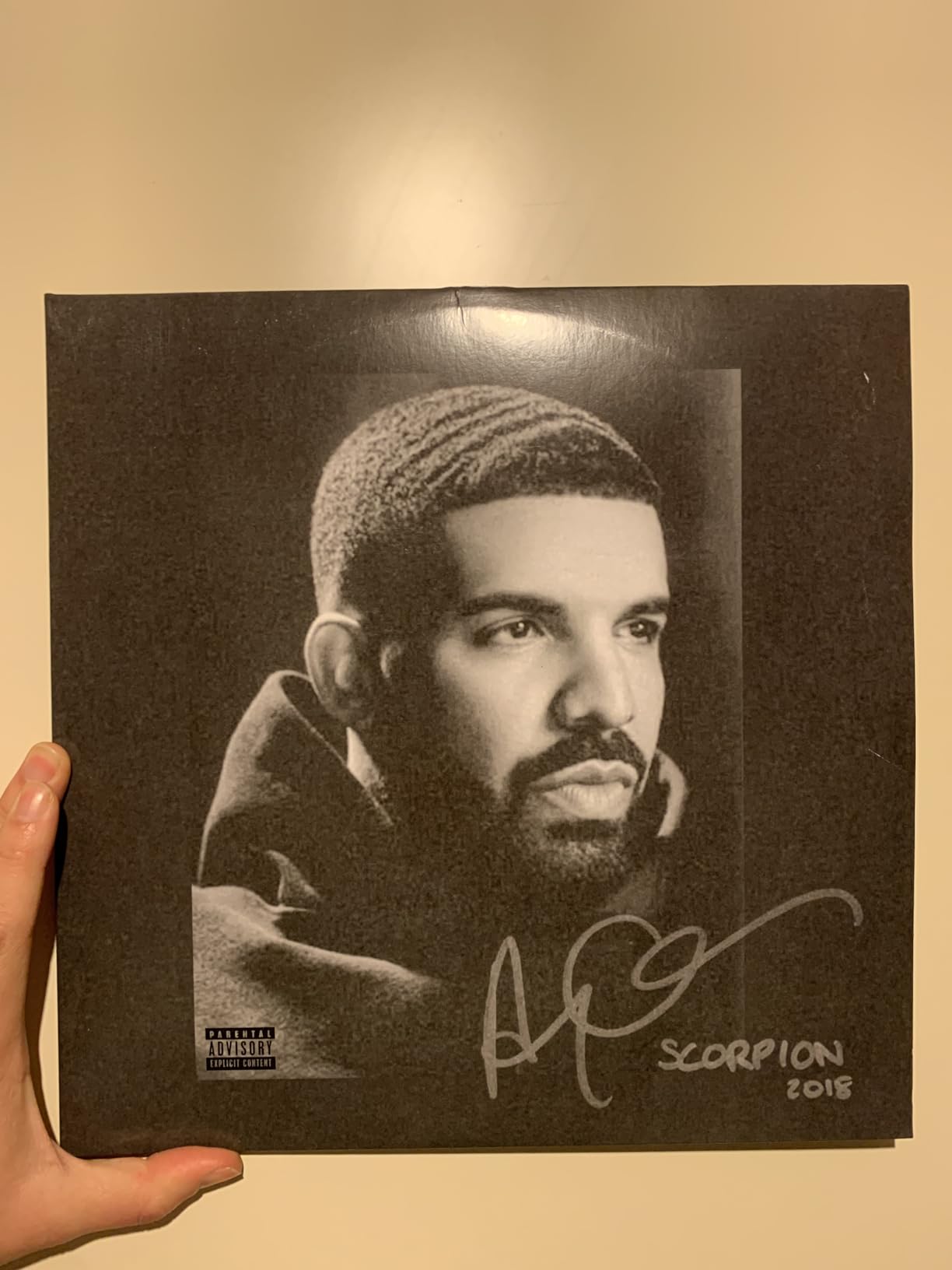 SCORPION : Drake, Drake: Amazon.it: CD e Vinili}