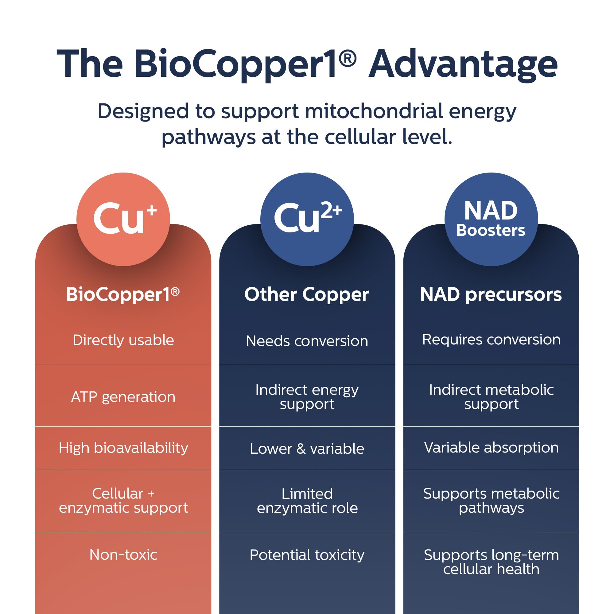 MAX Bioavailable Copper Supplement, BioCopper1 Cuprous Nicotinic Acid, Chelated Copper 2mg, Bio Active Capsules for Energy, Mental Clarity, Healthy Aging, NAD+ and NMN Support, 60 Count — Amazon image 3