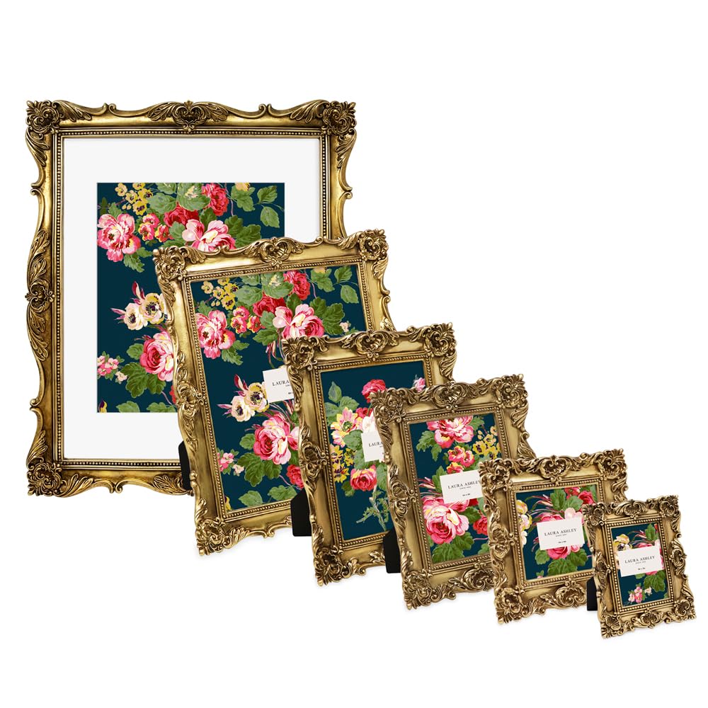 Amazon.com - Laura Ashley 11x14 (Matted 8x10) Gold Ornate Textured