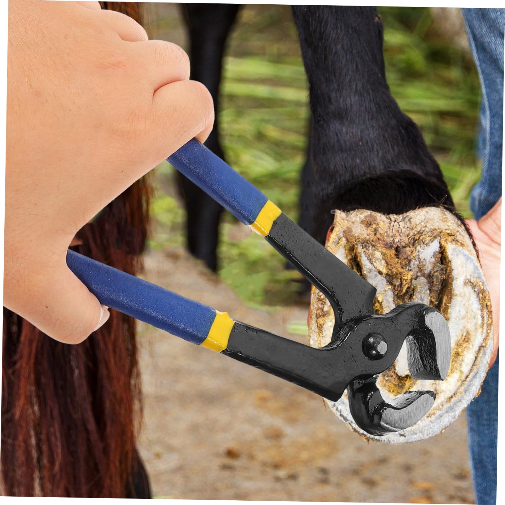 BESPORTBLE 5piezas Cortador De Pezuñas De Ganado Tijera De Herrador Para Caballos y Ovejas Herramienta De Reparación De Pezuñas Diseño Duradero y Afilado