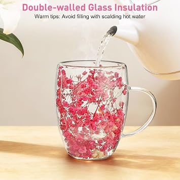 Double Wall Glass Coffee Mug, Dried Flowers Tea Cup with Handle and Spoon, Glass Cup for Hot and Cold Drinks, Birthday Gifts for Women (300ml)
