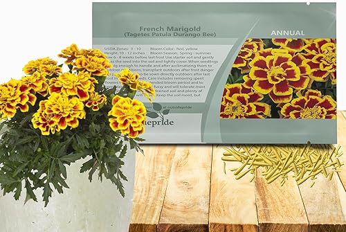 Outsidepride Tagetes Patula Durango Bee French Marigold Garden Flower Seed - 500 Semillas
