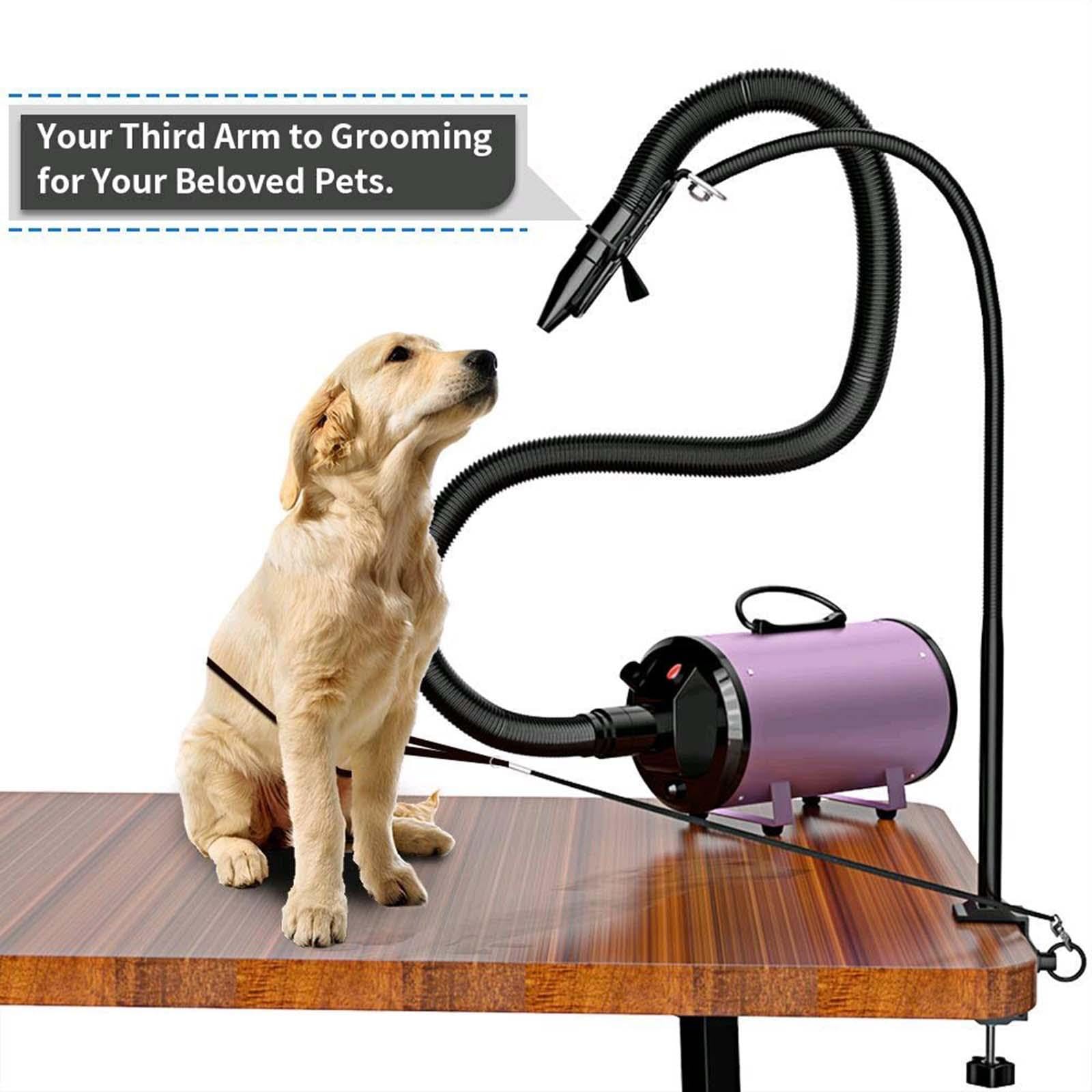 Support pour Sèche-Cheveux pour Animaux de Compagnie, Table de Toilettage, Support Réglable et Robuste pour Le Toilettage des Chiens et des Chats, Version régulière