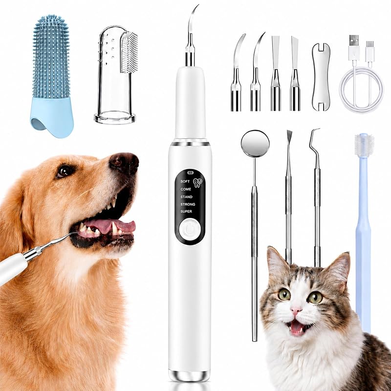 Removedor Ultrassônico de Placa e Tártaro para Cães e Gatos TOFFCAEA LC-H915 com 5 Modos