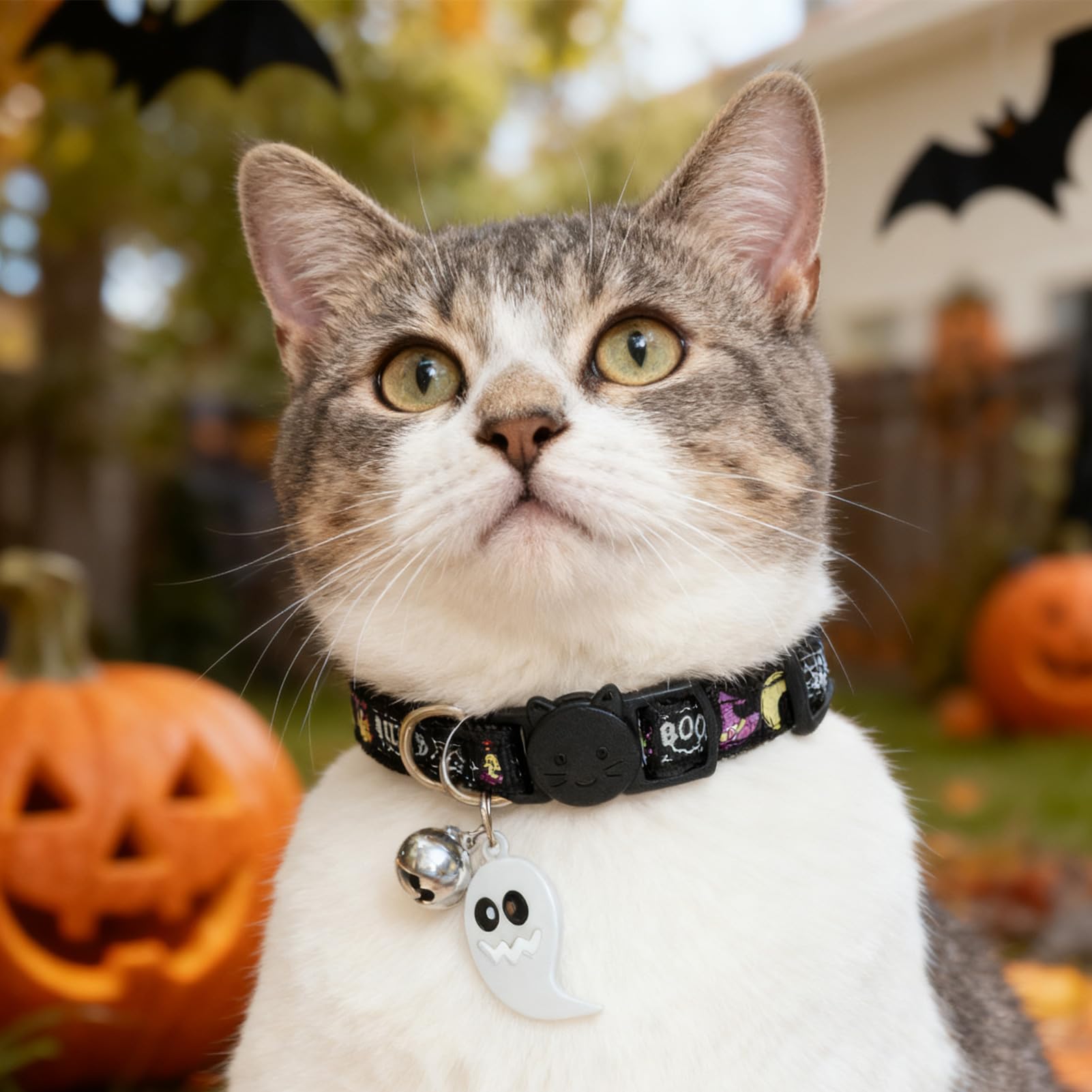 EXPAWLORER Katzenhalsband-Set im Halloween-Stil, leuchtend, verstellbar, mit süßem Geister-Zubehör, langlebiges Halsband mit sicherer Schnalle für Katzen, Kätzchen und kleine Welpen, 2 Stück