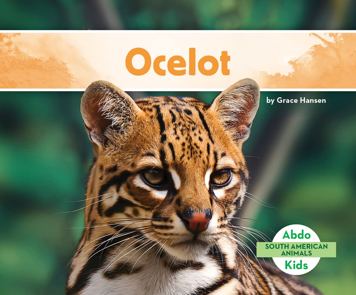 What Do Ocelots Look Like