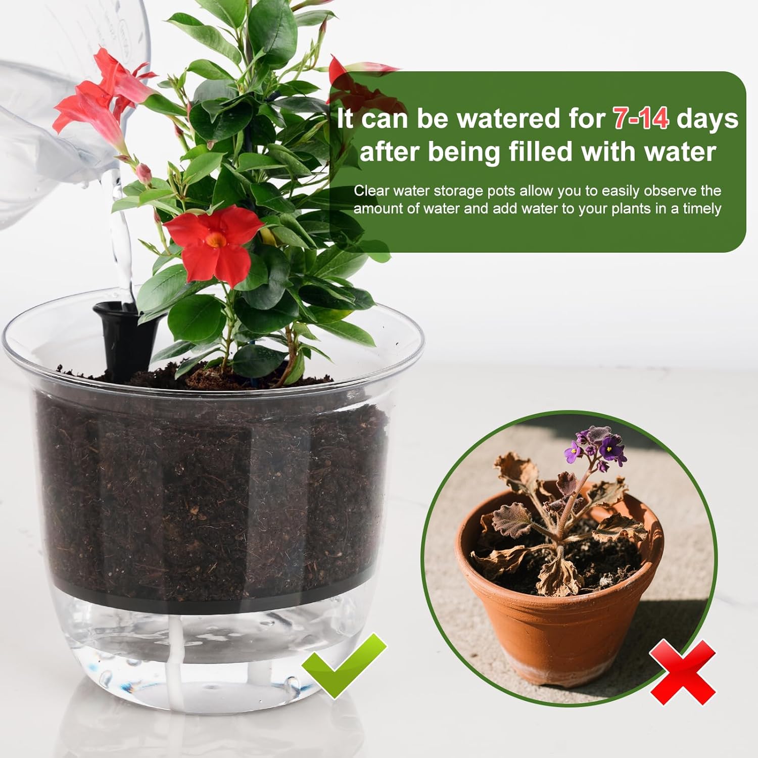 Plant Pots 6 inch Set of 3, Self Watering Pots for Indoor Outdoor Plants Flowers, Self Watering Planters with Reservoir, Drainage Hole and Absorbent Cotton Rope (3 Large) - Image 5