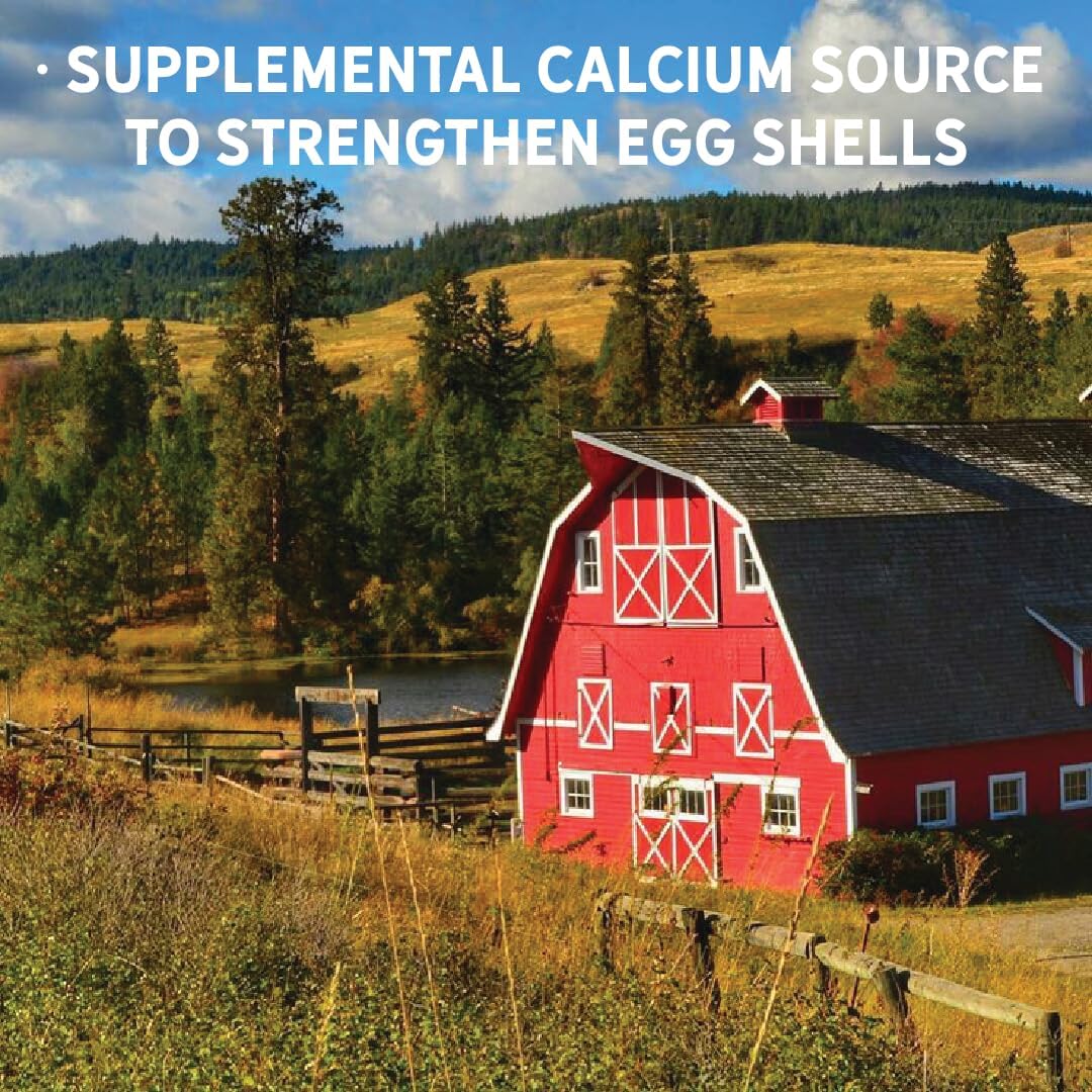 New Country Organics | Flock Perfect Calcium Poultry Shell to Strengthen Egg Shells in Laying Hens | 8 lbs